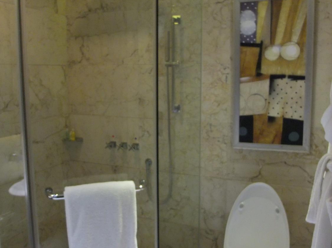 大同云冈美高大酒店主图