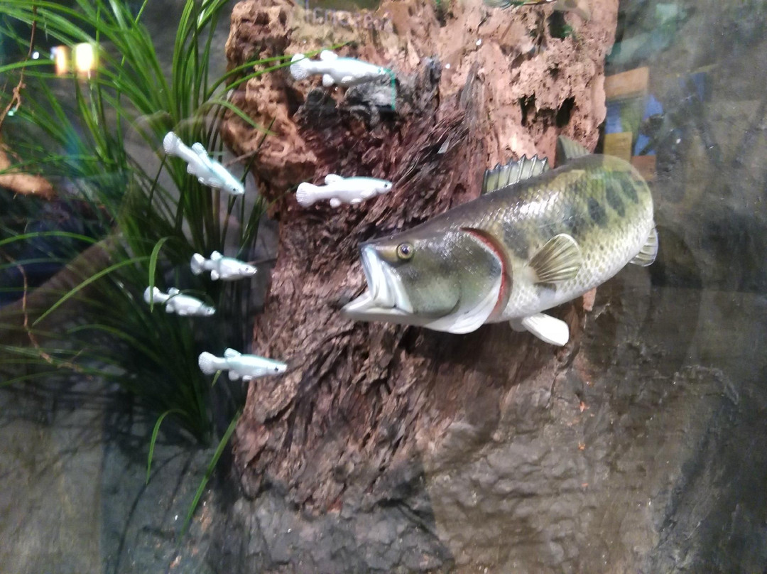 Daggerwing Nature Center-博卡拉顿必去景点