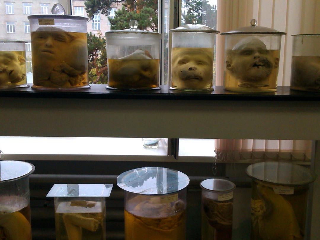 Anatomical Pathology Museum景点图片