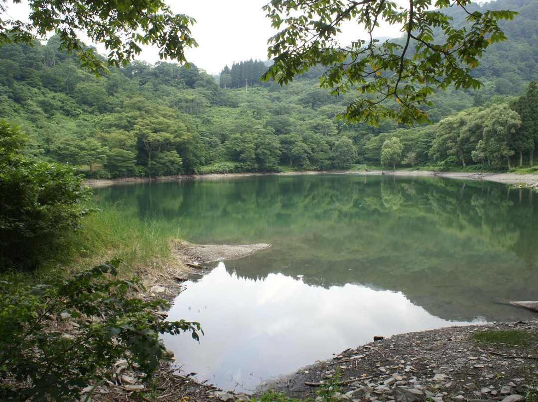 Takanami Pond景点图片