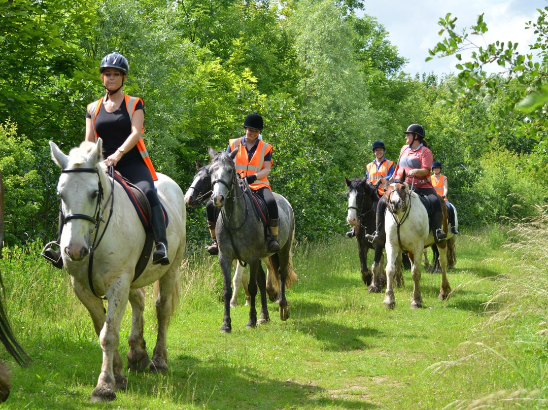 Derbyshire Pony Trekking-Mansfield必去景点