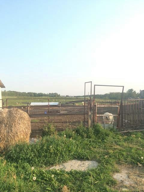 Barr Estate Winery景点图片