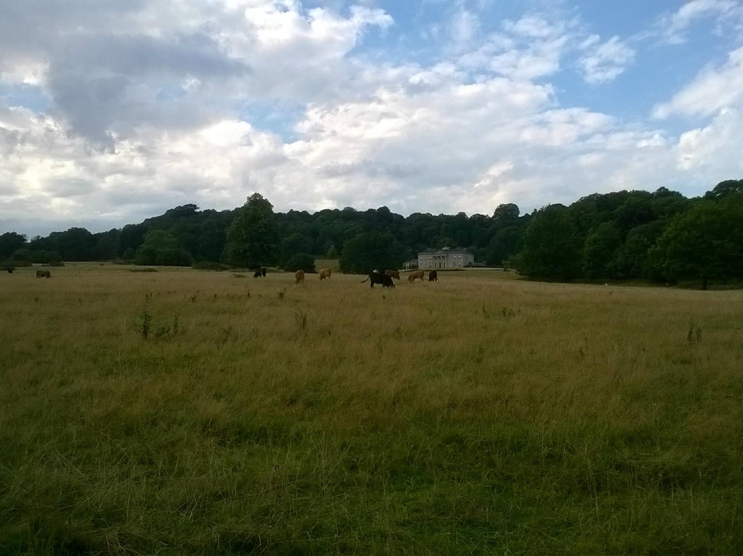Dinton Park & Philipps House景点图片