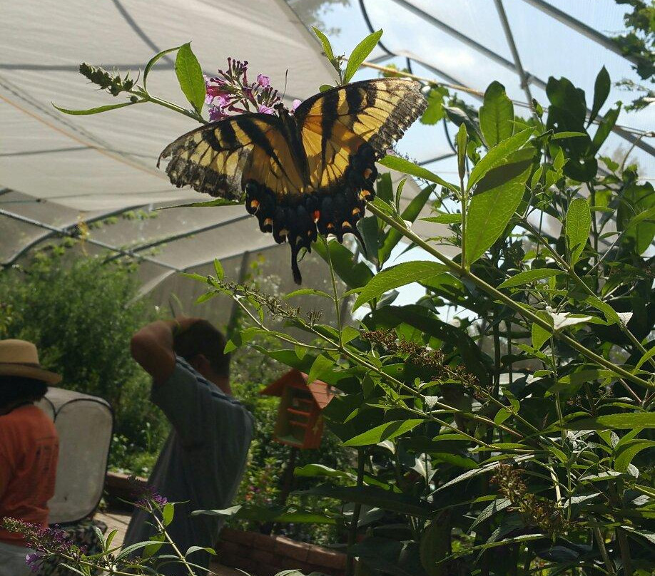 Springfield Botanical Gardens at Nathanael Greene/Close Memorial Park-斯普林菲尔德必去景点
