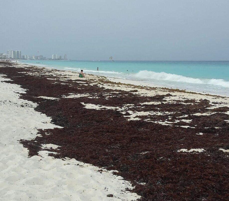 Playa Marlín景点图片