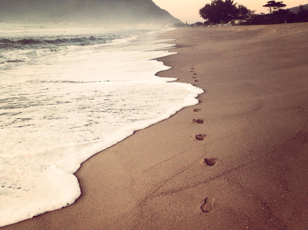 Praia da Armação景点图片