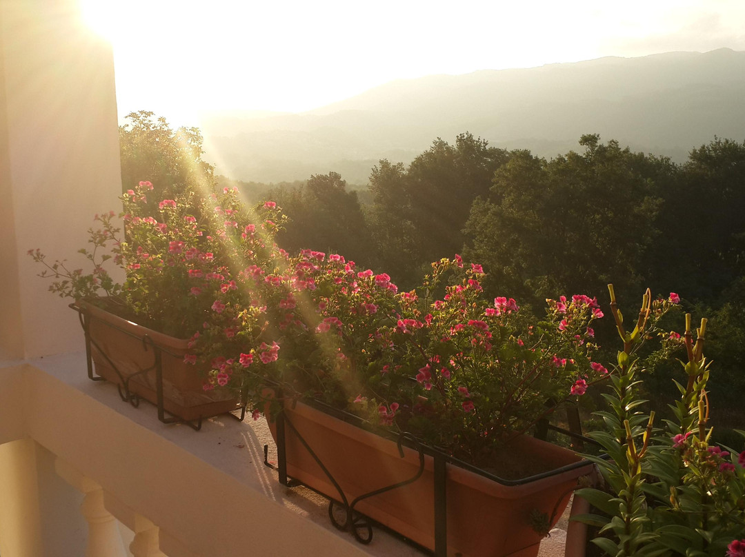 Agriturismo Torello主图