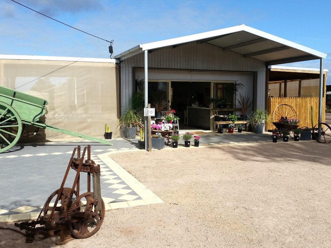 Homestead Gardens-Port Augusta必去景点