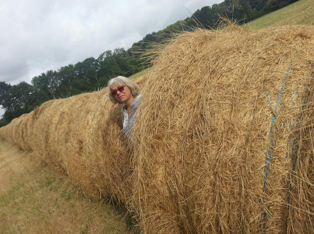 拉菲儿梅乡间渡假别墅酒店主图