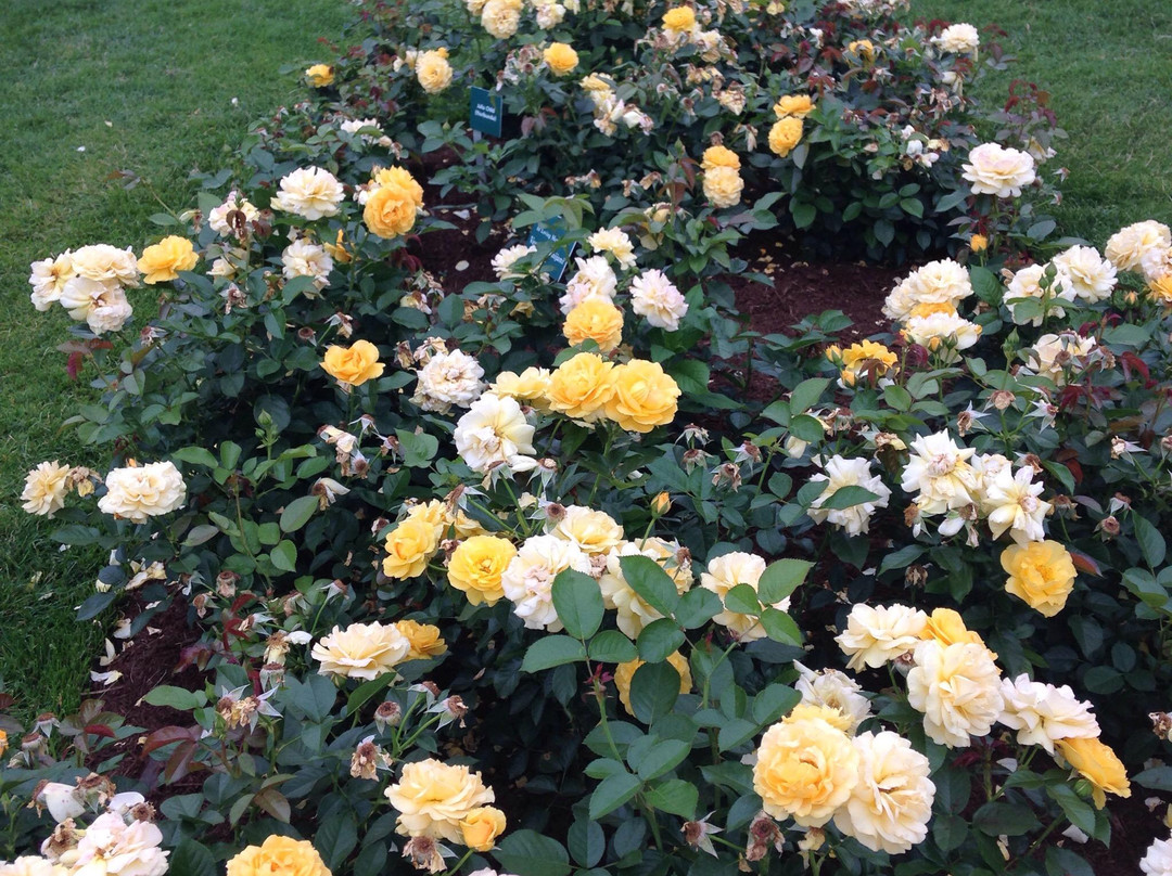 伊丽莎白公园-西哈特福德必去景点