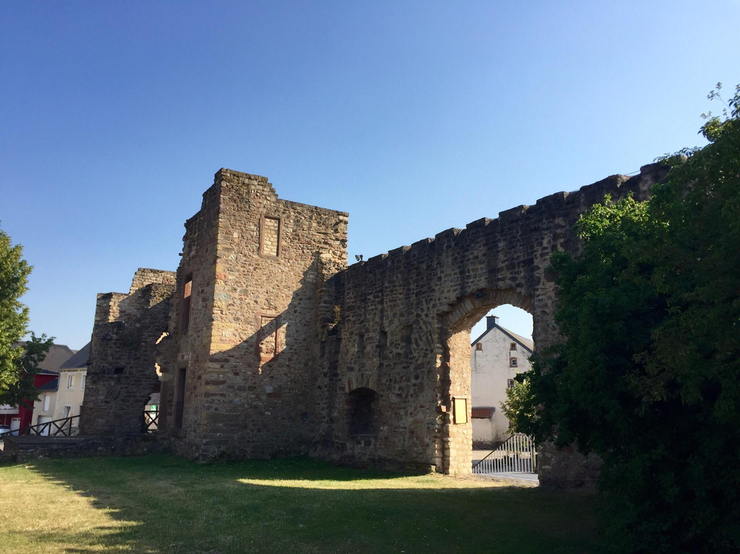 Saeul旅游景点-Pettingen Castle