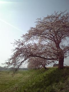 Annex Hotel Abe主图