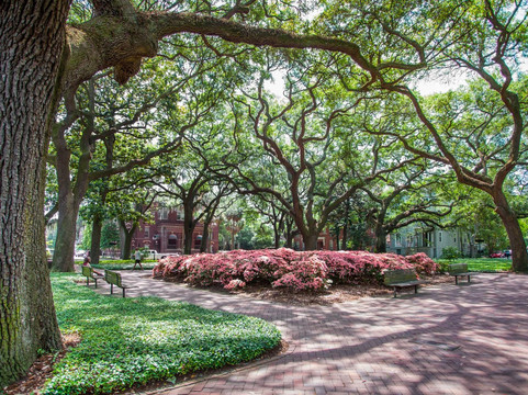 Capturing Savannah - Photography Tours-萨凡纳必去景点