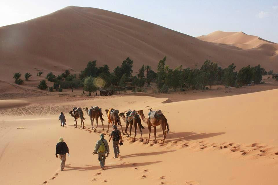 Camel Trip Morocco-梅如卡必去景点