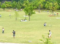 Hitokura Park-川西市必去景点