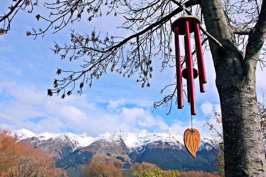 泄湖步行走道-格伦诺基必去景点