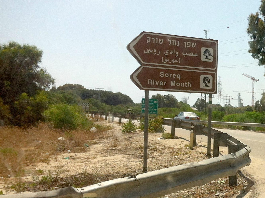Rubin Stream National Park – The Sorek Stream Estuary-Ness Ziona必去景点