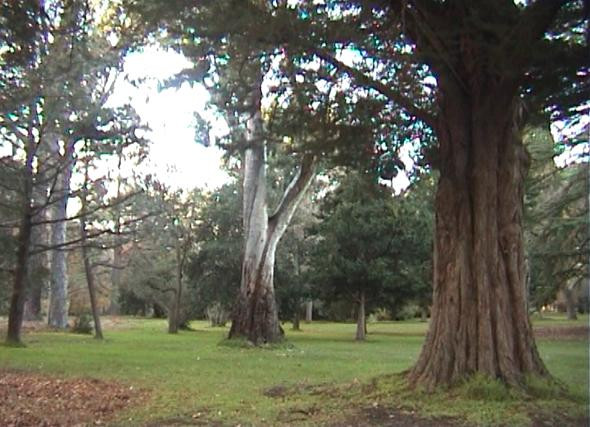 Castlemaine Botanical Gardens景点图片