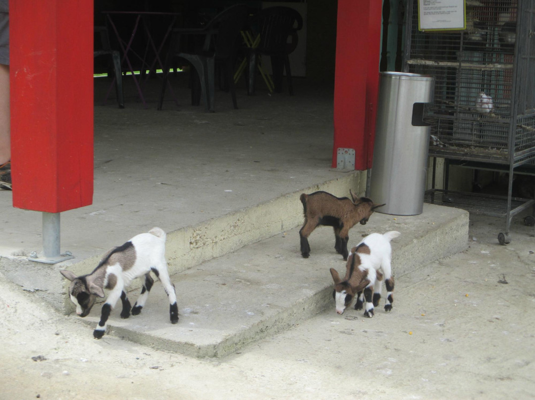 La Ferme du Bon’Air景点图片