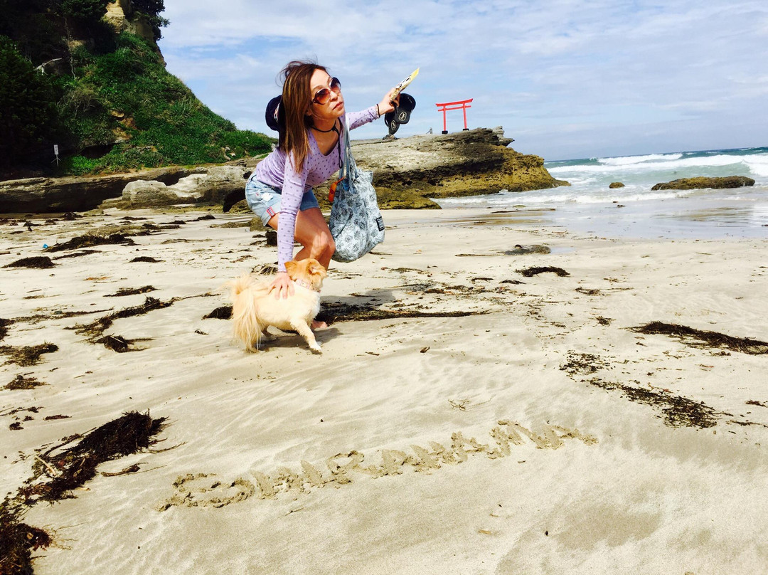 Shirahama Beach景点图片