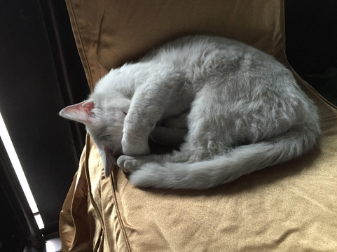 苏州文旅花间堂·探花府主图