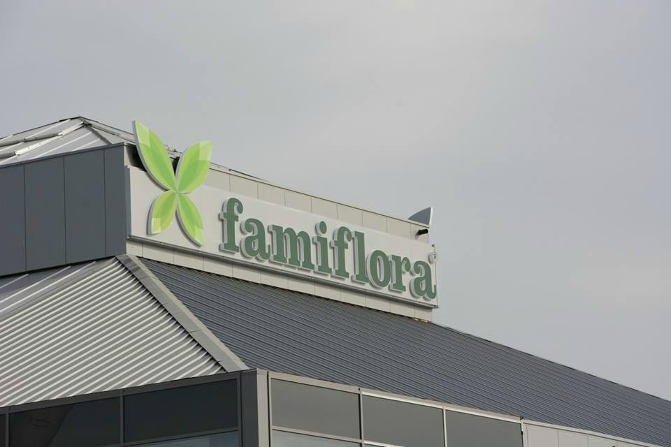 Famiflora景点图片