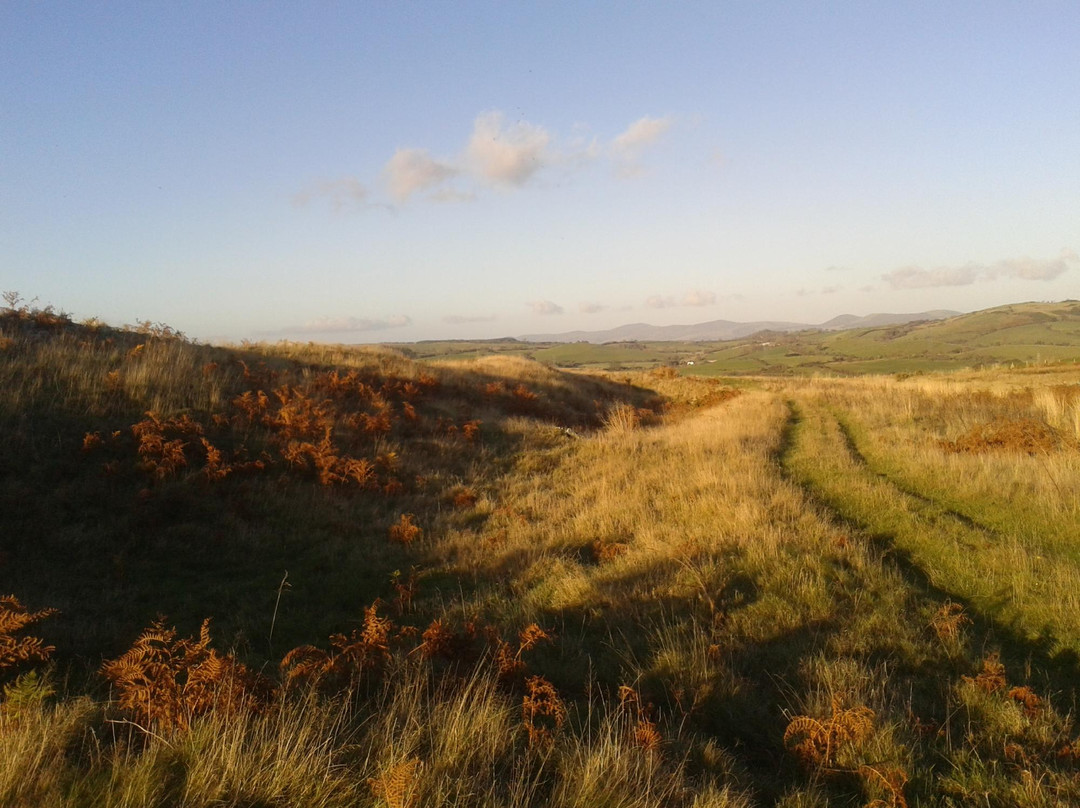 Caer Drewyn Hillfort景点图片