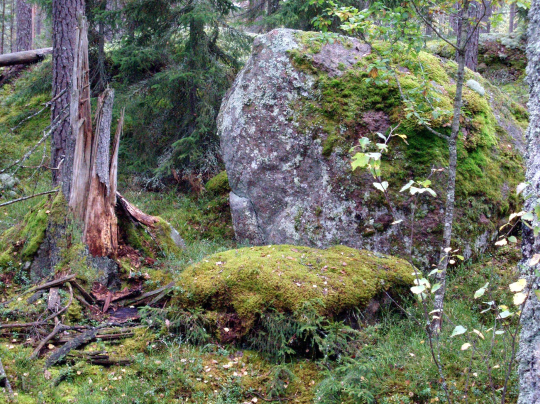 Bjornnasets naturreservat景点图片