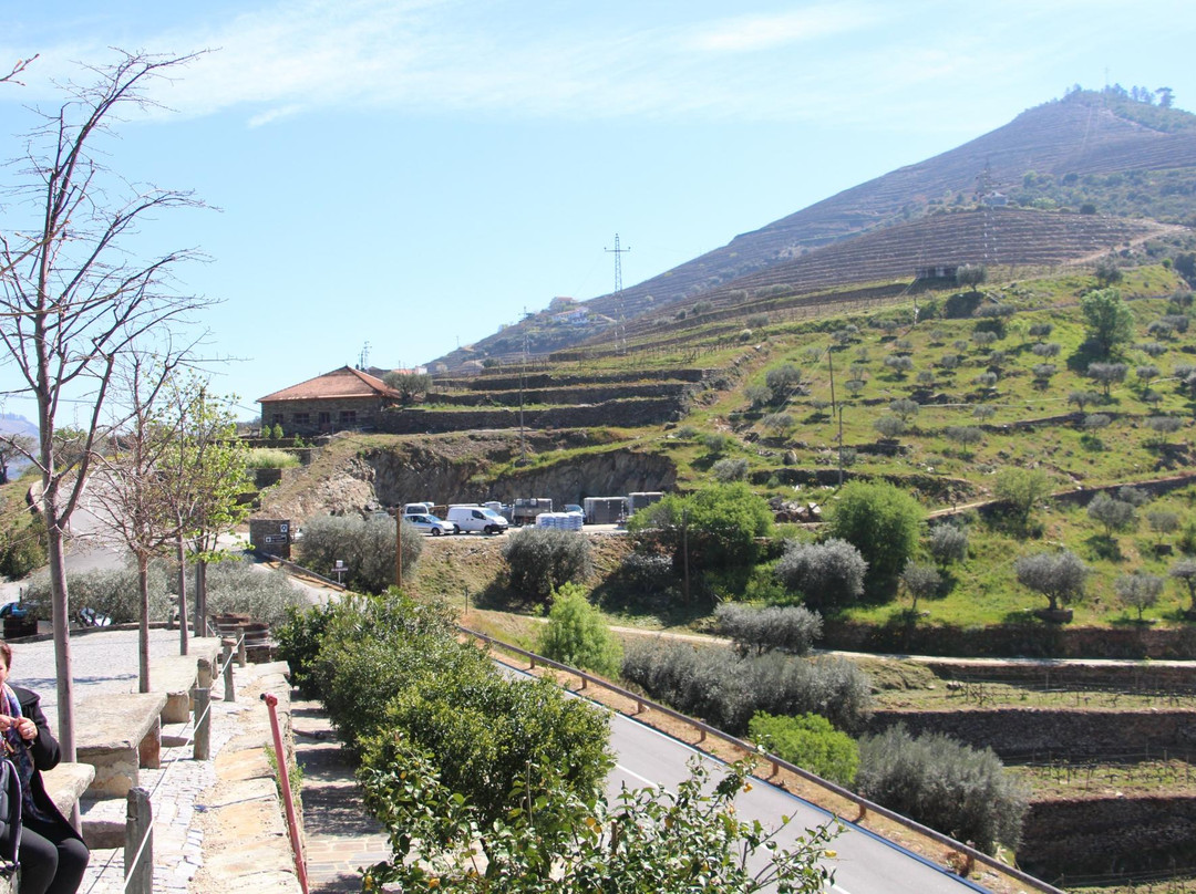 Clevertours -Viagens e Turismo Lda-Maia必去景点