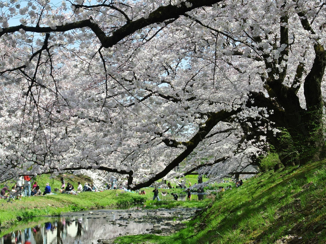 Tachikawa Park-立川市必去景点