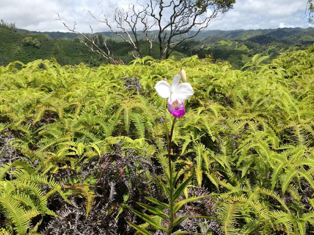 Sunset Ranch-哈雷瓦必去景点