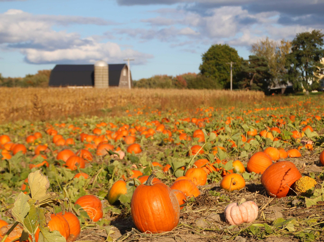 Stokoe Farms-Scottsville必去景点