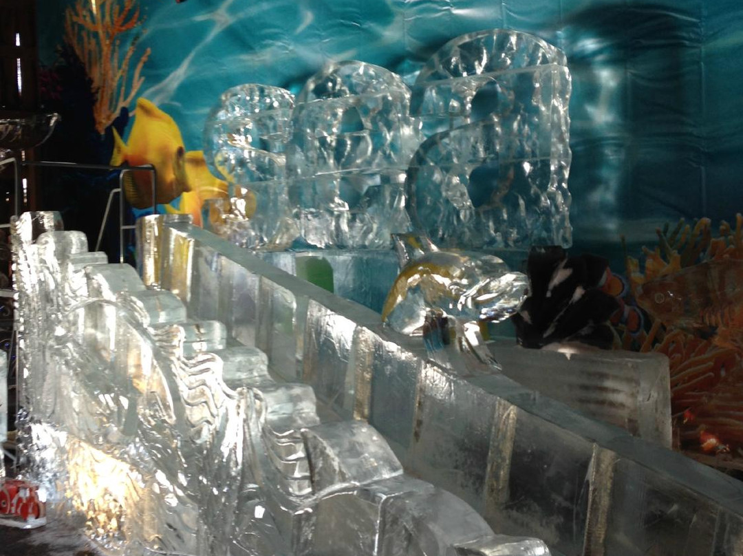 Sculpted Ice Works Factory Tour & Ice Harvest Museum景点图片
