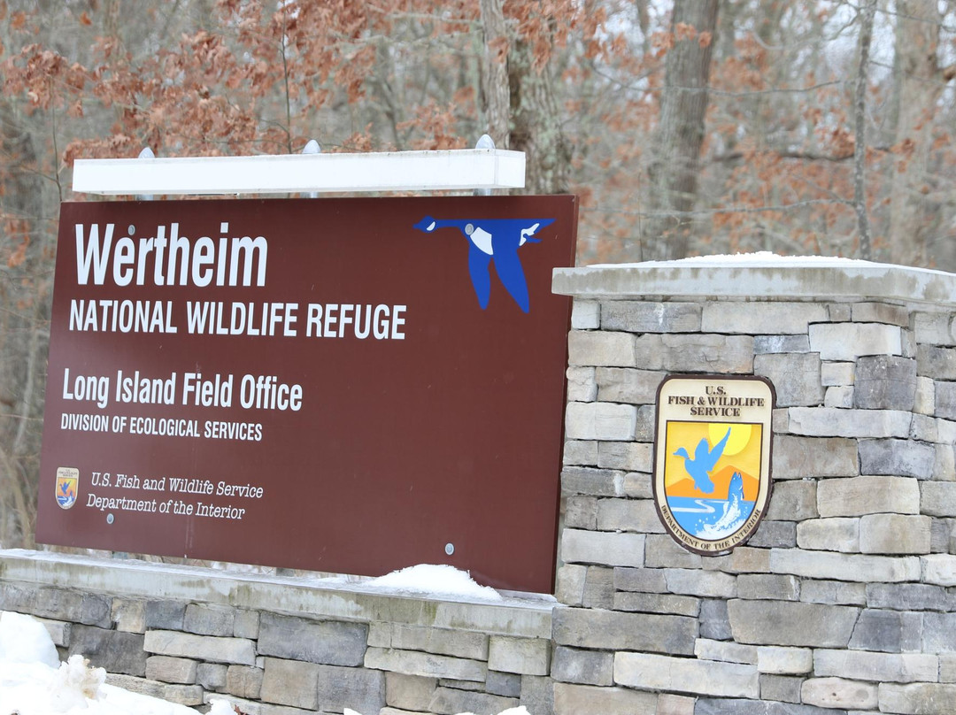 Wertheim National Wildlife Refuge-Shirley必去景点