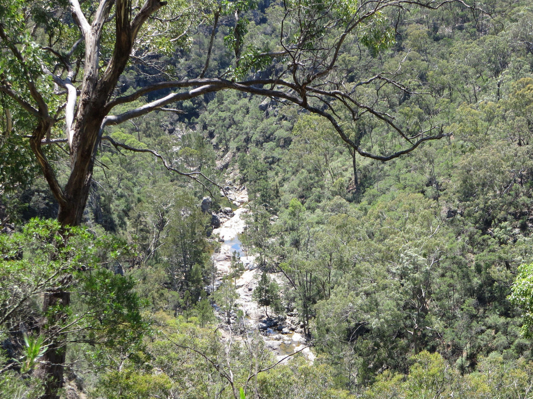 Bungonia State Conservation Area-古尔本必去景点