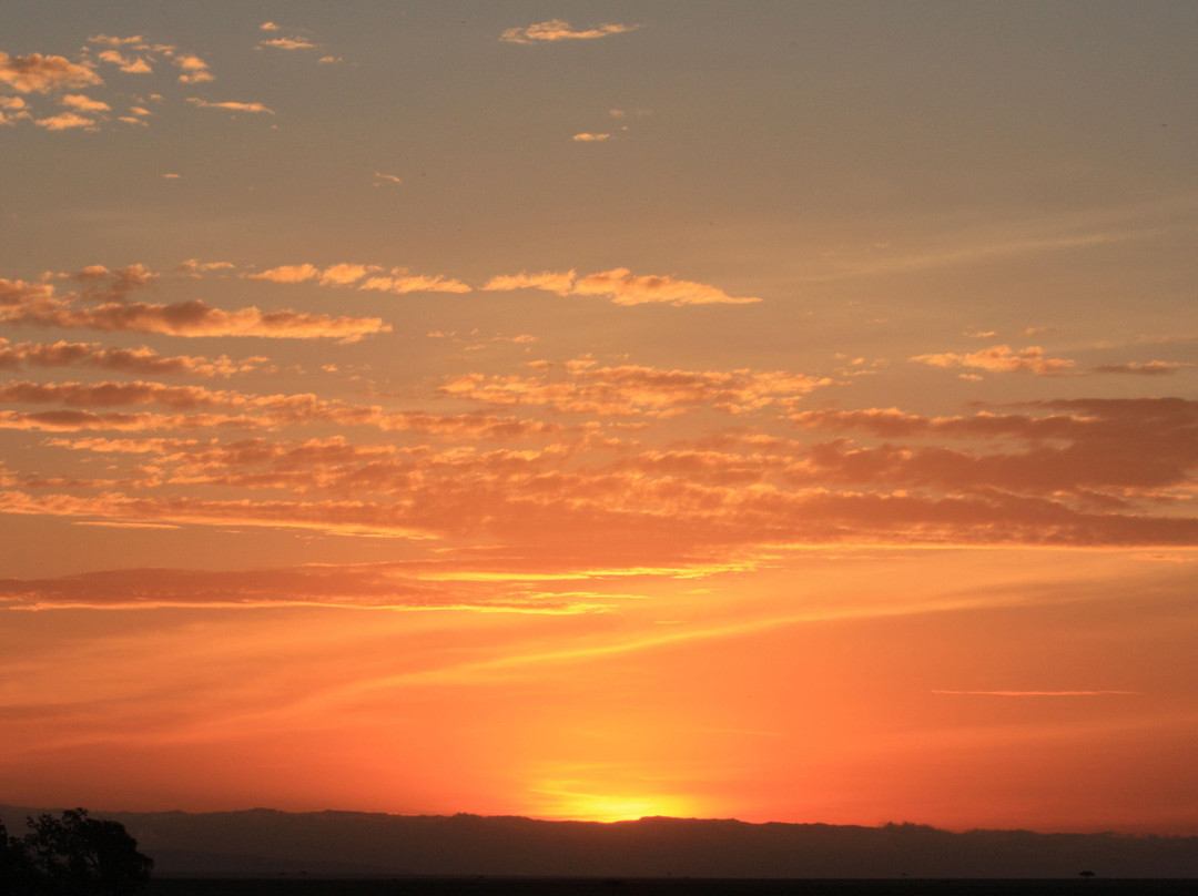 Governors’ Balloon Safaris-马赛马拉国家野生动物保护区必去景点