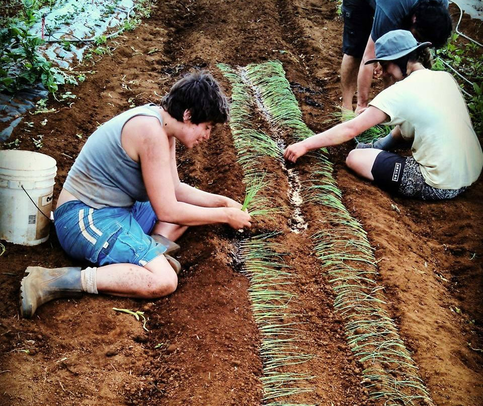 Kauai Kunana Dairy Farm Tour-基拉韦厄必去景点