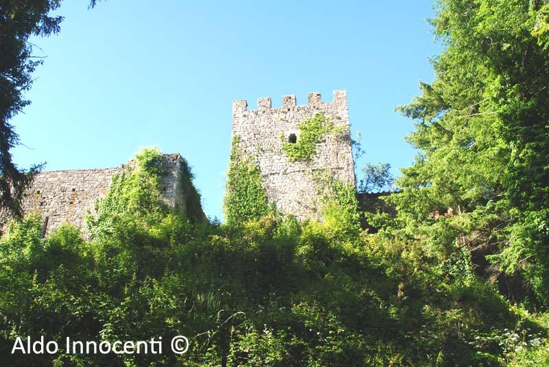 Castello di Fosini景点图片
