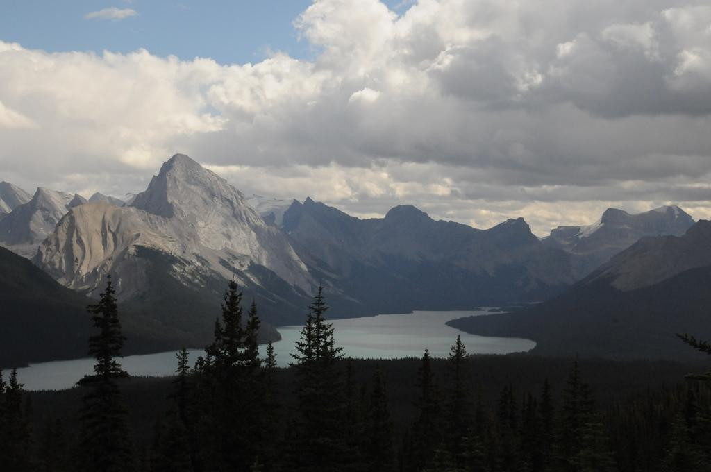 Bald Hills-贾斯珀必去景点