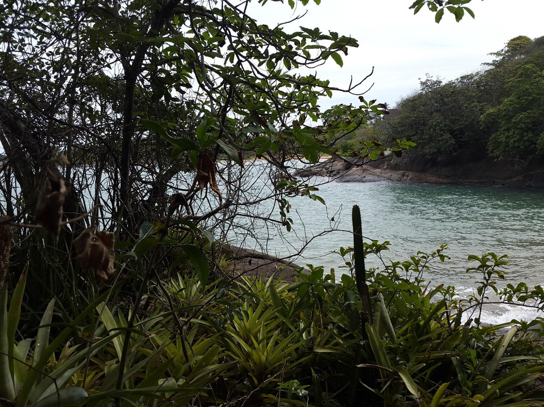 Praia do Morcego景点图片