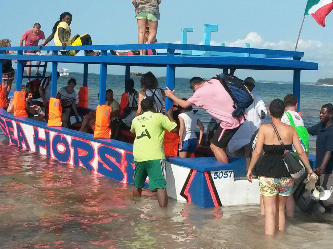 Watamu National Marine Park-瓦塔木必去景点