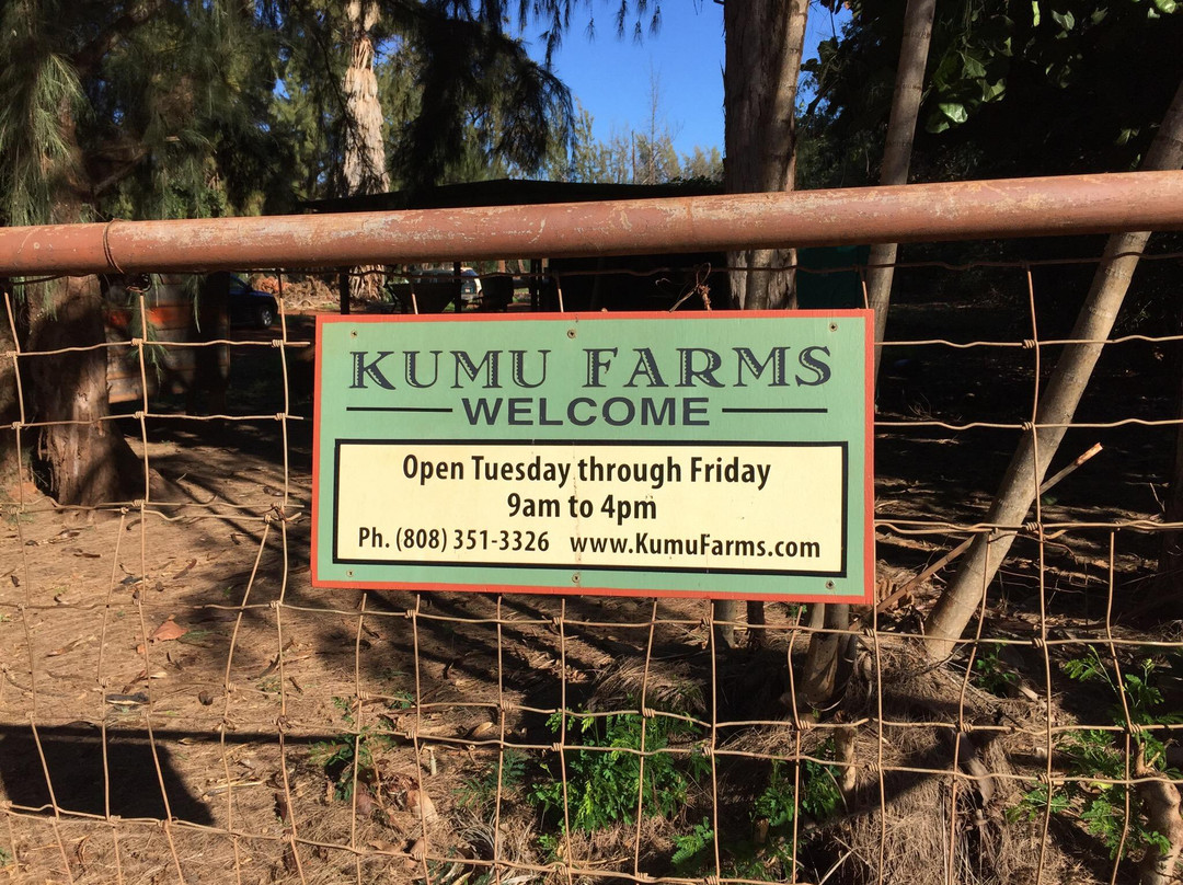 Kumu Farms-摩洛凯岛必去景点