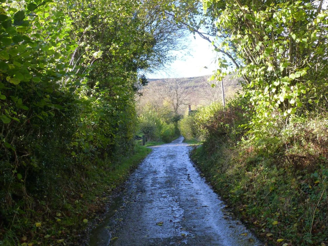 White Haywood Farm B&B主图