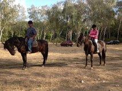 Stetson Equestrian Club-敖德萨必去景点