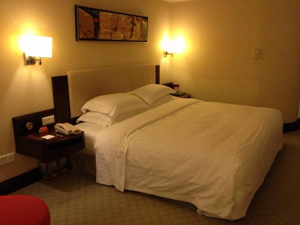 广东皇家国际饭店-客卧