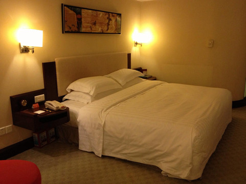 广东皇家国际饭店主图