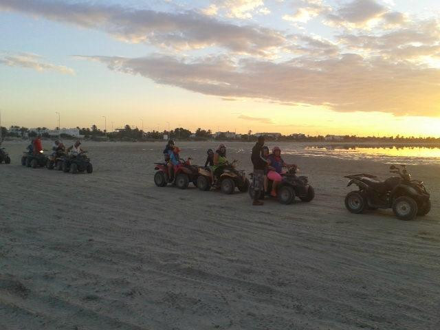 Mezraya Quad Safari Day Tours-Houmt Souk必去景点