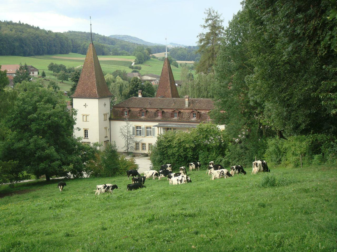 伯尔尼米特尔兰区酒店住宿-Schloss Muenchenwiler