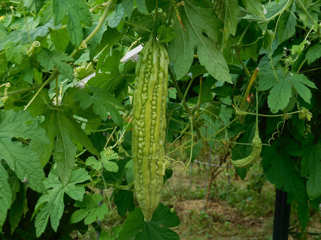 Stony Kill Farm Environmental Education Center-Wappingers Falls必去景点
