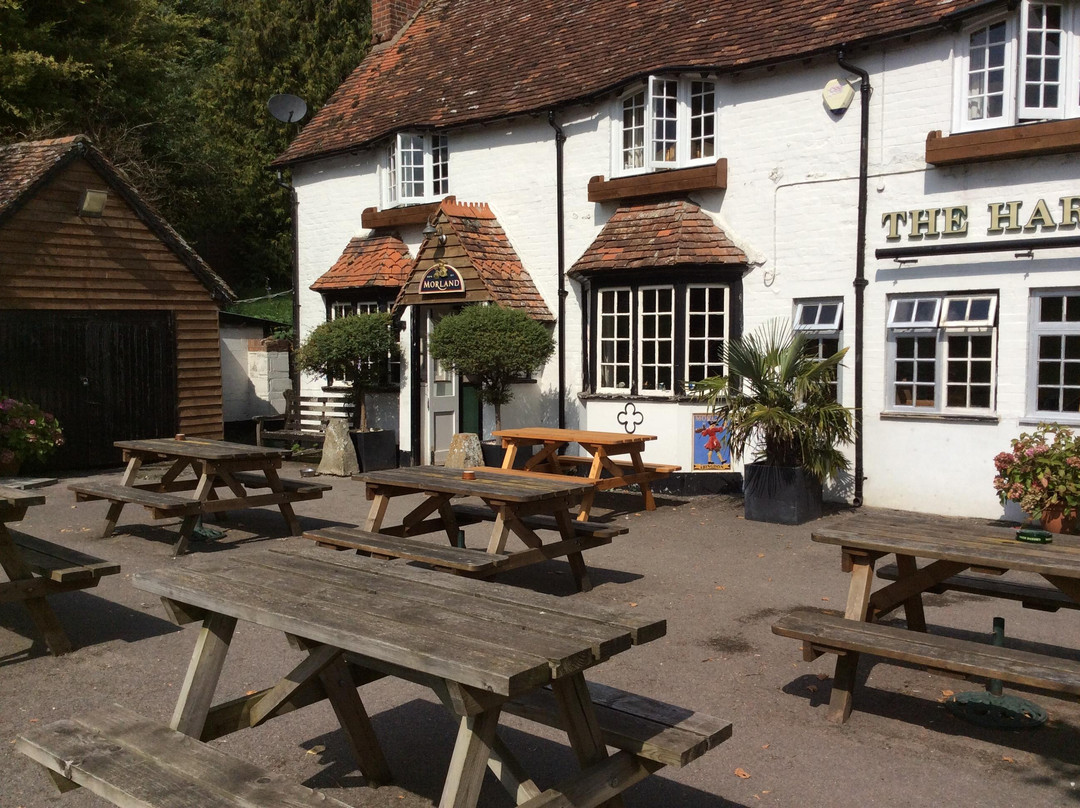 West Ilsley旅游攻略图片